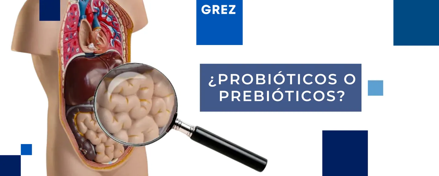 ¿Probióticos o prebióticos?